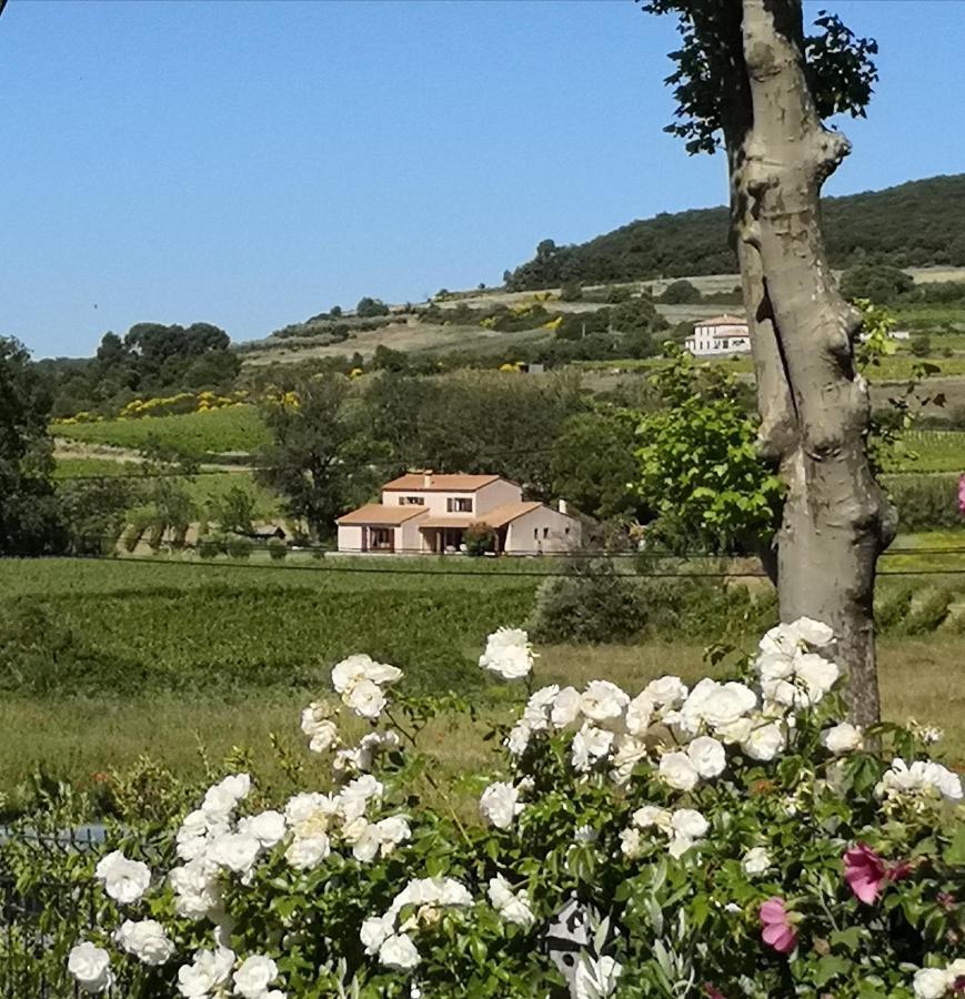 Domaine de Peilhan Roujan Exterior foto