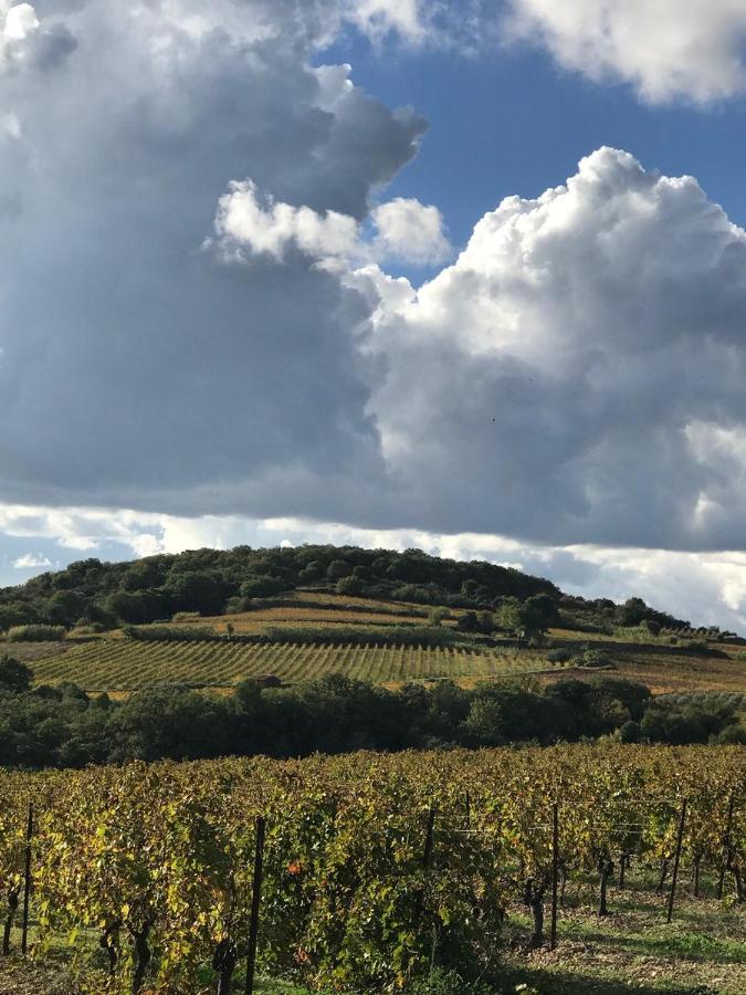Domaine de Peilhan Roujan Exterior foto